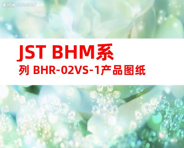 JST BHM系列 BHR-02VS-1产品图纸